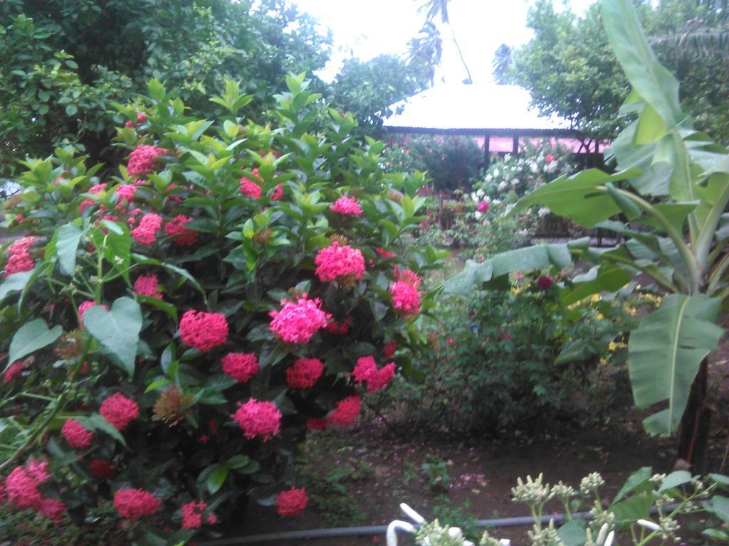 Hostal La Cascada San Ramon Merida Luaran gambar