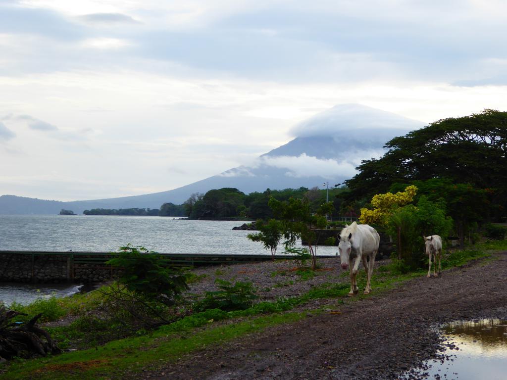 Hostal La Cascada San Ramon Merida Luaran gambar