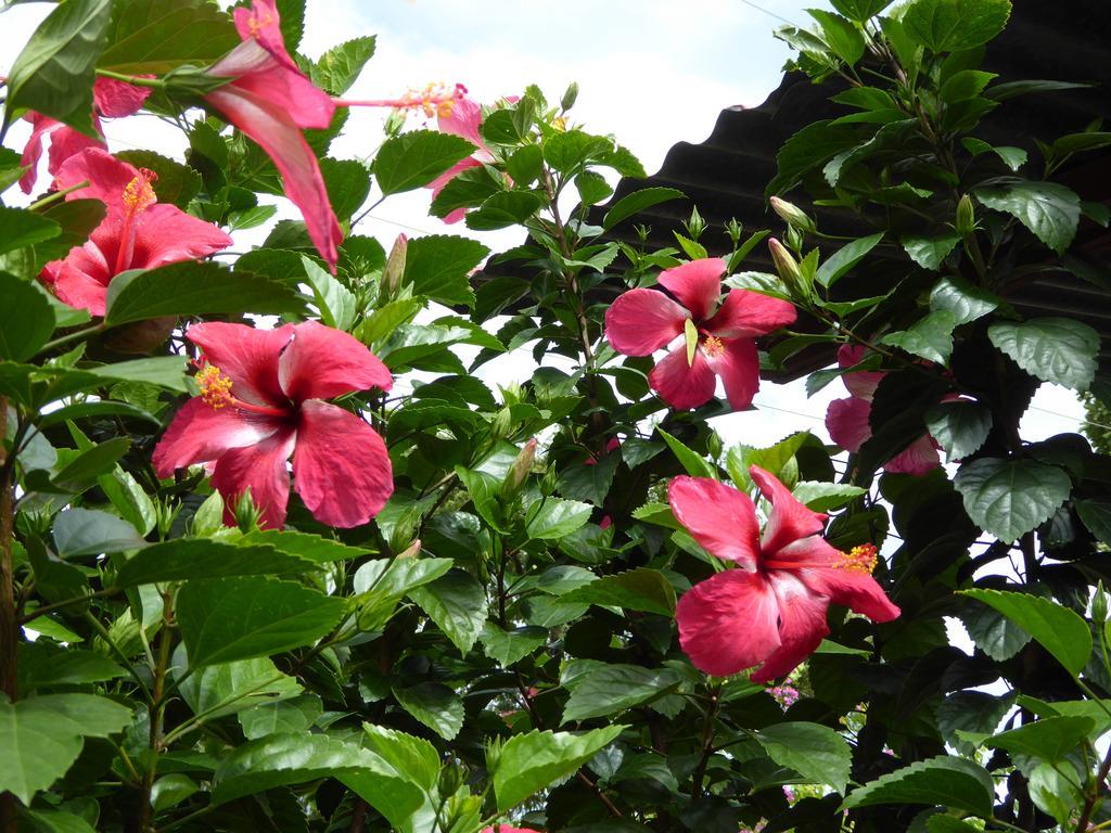 Hostal La Cascada San Ramon Merida Luaran gambar